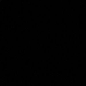 Meet your Posher, Ramon